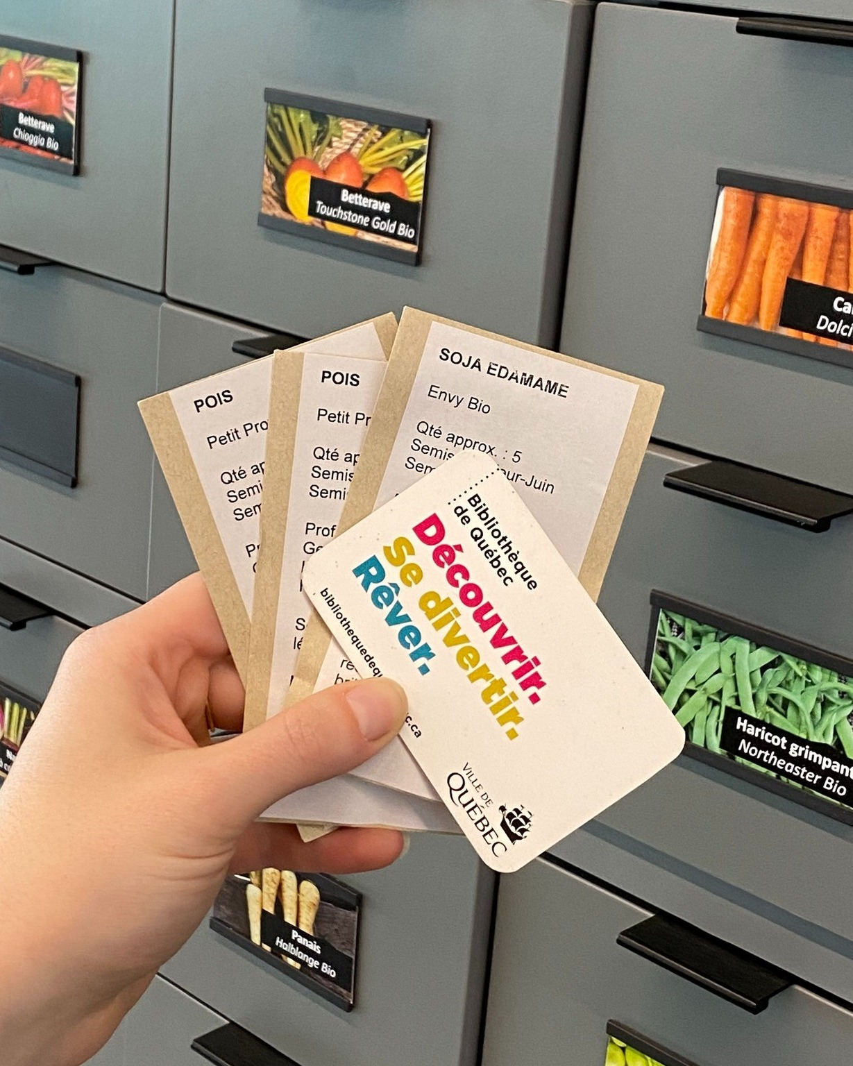 Distribution printanière de la grainothèque.